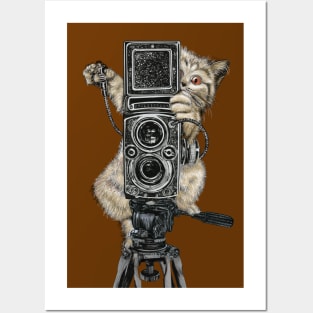 Catographer Cat Photographer Posters and Art